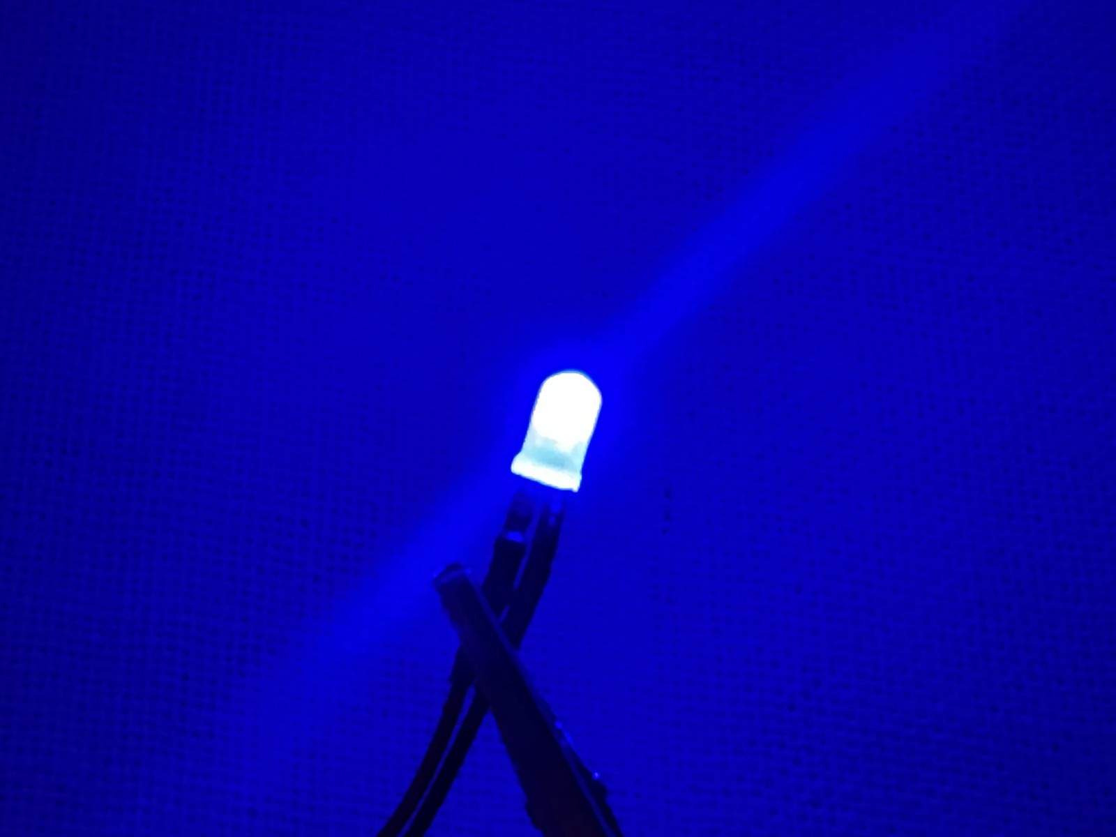 cold blue